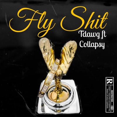 FLY SHIT (feat. Collapsy) - Single
