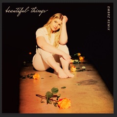 Beautiful Things (EMBRZ Remix) - Single