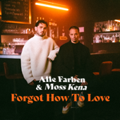 Forgot How to Love - Alle Farben & Moss Kena