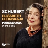 Schubert: Piano Sonatas, D. 845 & 850 artwork