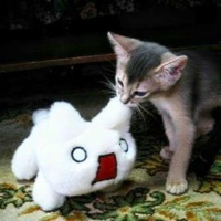 Saysum - Single - wrayth