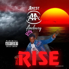 AMINI (feat. BENJAMINS & KINGPEEZY) ANEST ANEBWOY