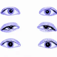 聆聽 Freud、觀看音樂影片、閱讀小傳、查看巡演日期等！
