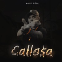 Callosa - Single - Maicol Plein