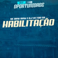 Habilitação - Single - MC BAW BAW & Dj Victor SB