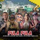Pula Pula feat MC Nerak MC Fabinho da Osk Single