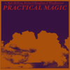Kyle McEvoy, Richard Houghten & wowflower - Practical Magic artwork