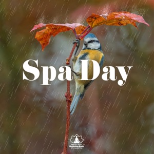 Spa Day: Relax Mind, Body & Soul with Nature Sounds (Rain & Birds)