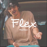 Flex - Single - Megaterio