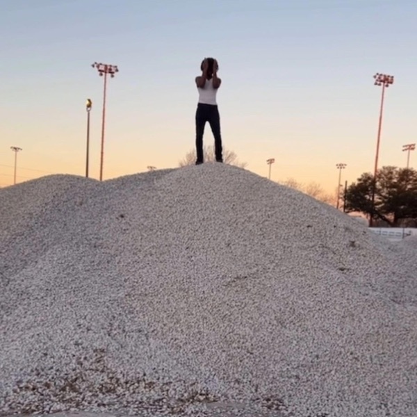 King of da hill (Goxan)