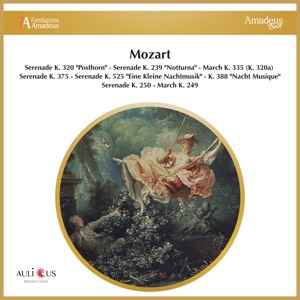 Serenade No. 7 in D Major, K. 250: IV. Rondo: Allegro