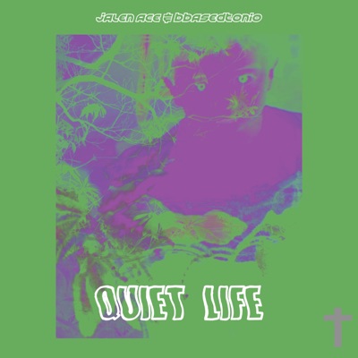 Quiet Life - Single