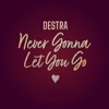 Never Gonna Let You Go - Single