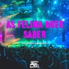 As Felina Quer Saber - Single