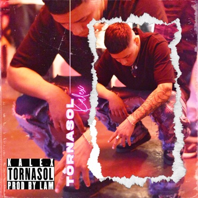 TORNASOL - Single