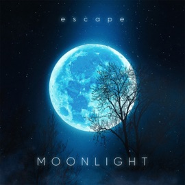 Moonlight escape
