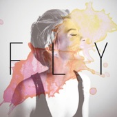 Fly artwork