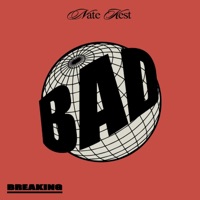 Breaking Bad - Nate Kest