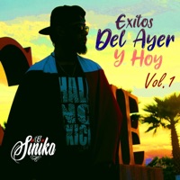 Éxitos Del Ayer Y Hoy, Vol. 1 - El Siniko