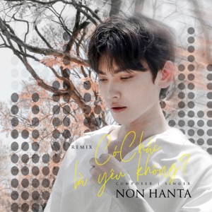 Có Chắc Là Yêu Không? (Remix) - Single