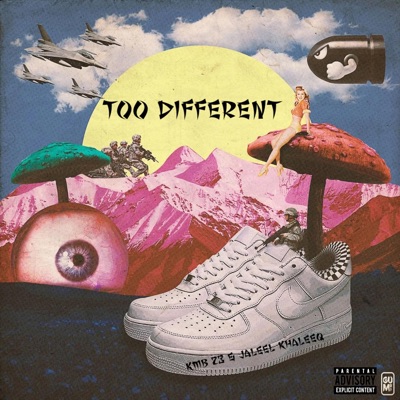 Too Different (feat. Jaleel Khaleeq) - Single