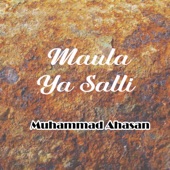 Maula Ya Salli artwork