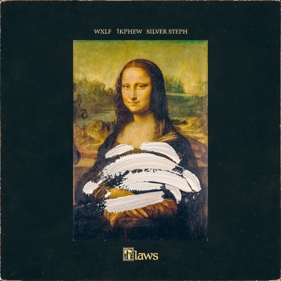 FLAWS (feat. Silver Steph) - Single