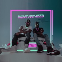 What You Need - Single - Shiwan & TY YOUNG