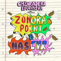 Chingadera Educativa - Single - Zonora Point & Nvscvr