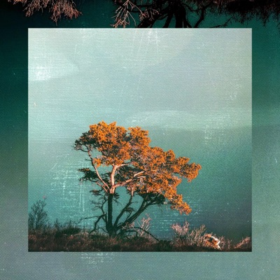 Rest in Me (feat. Josh Bissell) - Single