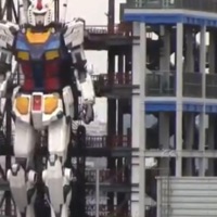 Robot - Single - atticslvt