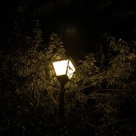 confusion (feat. Tin) Boof