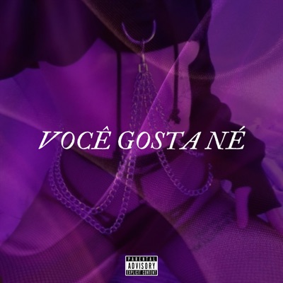 Você Gosta Né - Single