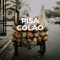 PISA COLAO artwork