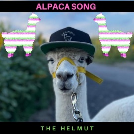 Alpaca Song The Helmut