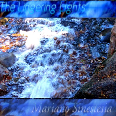 The Lingering Lights - Single