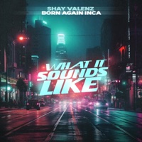 What It Sounds Like (feat. Born Again Inca) - Single - Shay Valenz