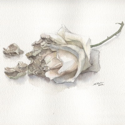 Deflower//Reflower - Single