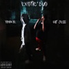 Exotic Duo (feat. Fatjess) - Single