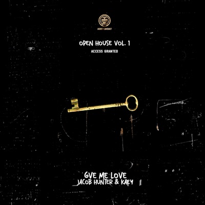 Give Me Love (feat. Retrro5) - Single