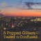 City of Dawn - 5 Popped Collars lyrics