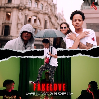 Fake Love - Single