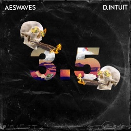 3.5 Aes Waves & D. Intuit