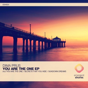 You Are the One - Single