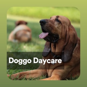 Doggo Daycare