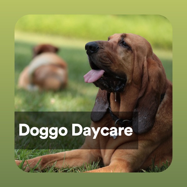 Doggo Daycare
