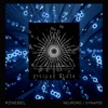 Neurons / Synapse - Single