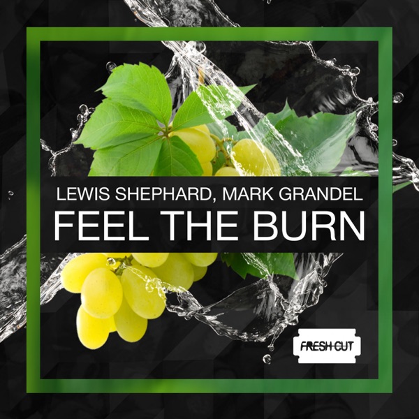 Feel the Burn - Single