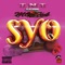 S.Y.O (feat. Mocha) - T.N.T lyrics