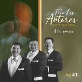 A los amigos artwork